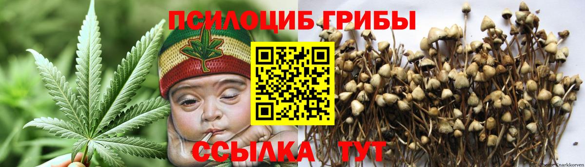 Нижнеудинск  Псилоцибиновые грибы GOLDEN TEACHER  Вход с VPN 